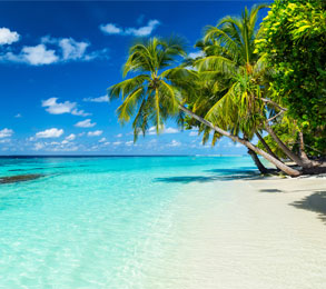 Cruceros por el Caribe. eworldcruises.com Cruceros por el Caribe. eworldcruises.com