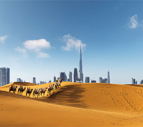 Cruceros por Oriente Medio. eworldcruises.com Cruceros por Oriente Medio. eworldcruises.com